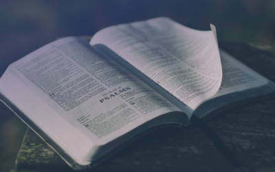 What Is Expository Preaching?