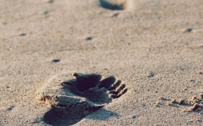 Does Your Sermon Outline Need to Follow the Text?